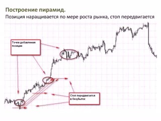 Управление капиталом на форекс от Бернухова Управление капиталом на форекс от Бернухова